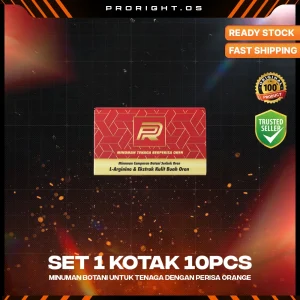 SET 1 KOTAK (10 PCS)