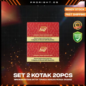 SET 2 KOTAK (20 PCS)